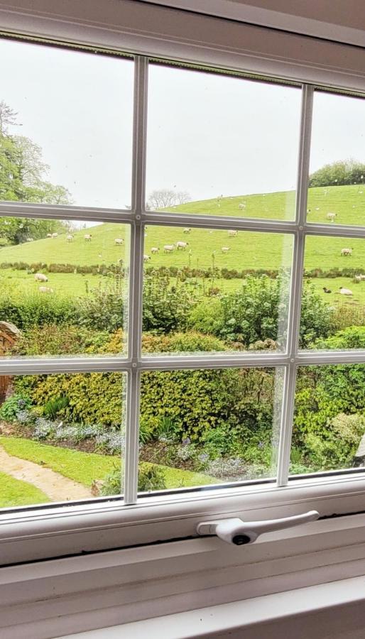 Kingsley Cottage - Beautiful Riverside Setting Beaworthy Exterior foto