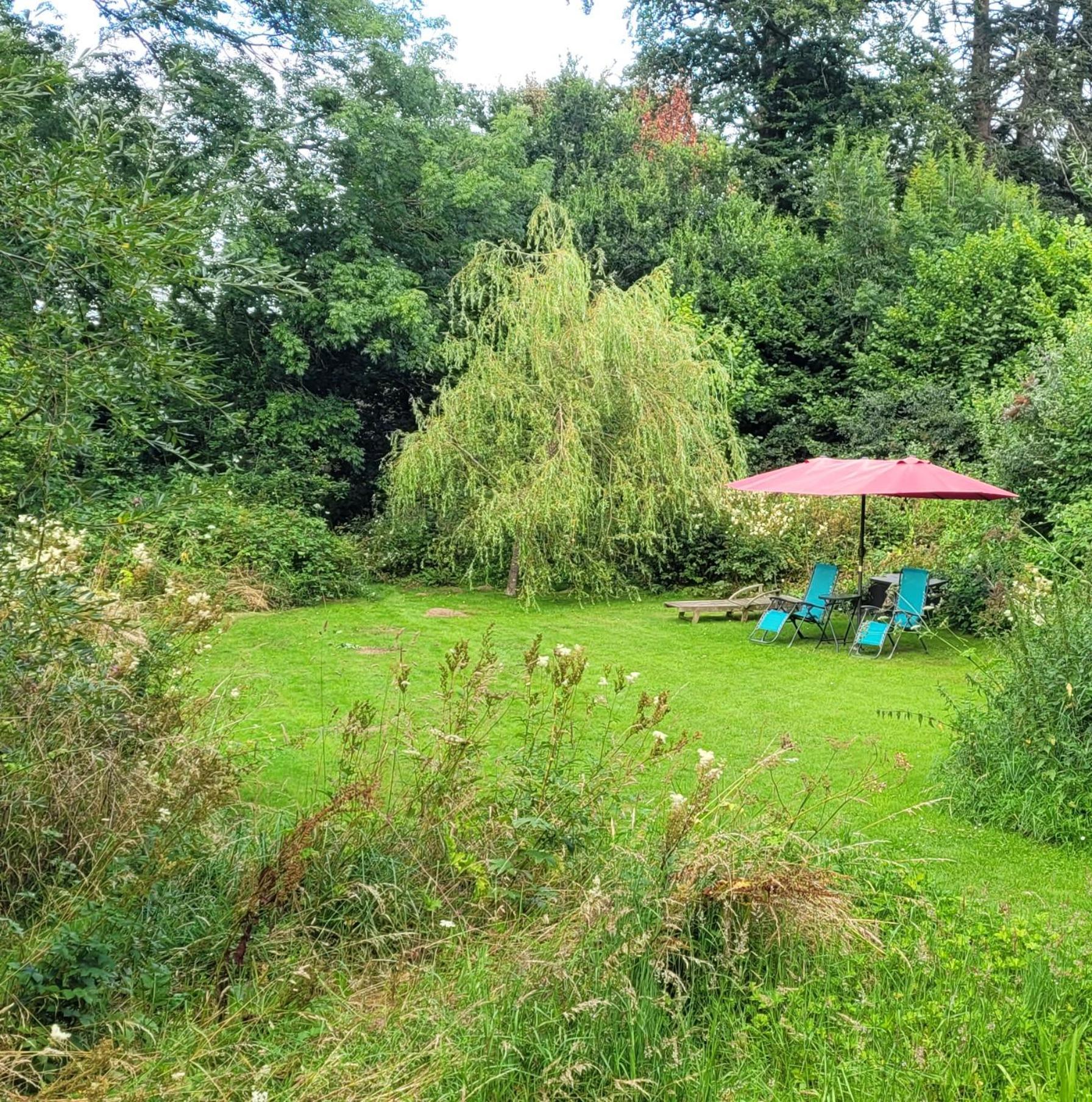 Kingsley Cottage - Beautiful Riverside Setting Beaworthy Exterior foto